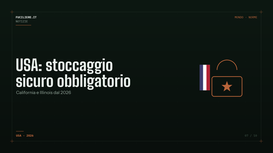 Stati Uniti: stoccaggio sicuro obbligatorio in California e Illinois dal 2026